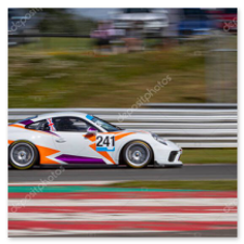 Auto sportiva in curva durante il tour